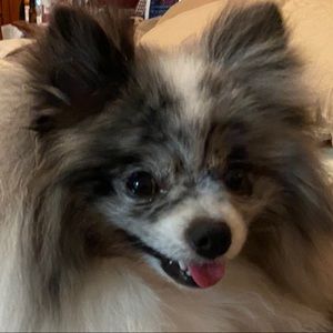 Meet your Posher, Beverly